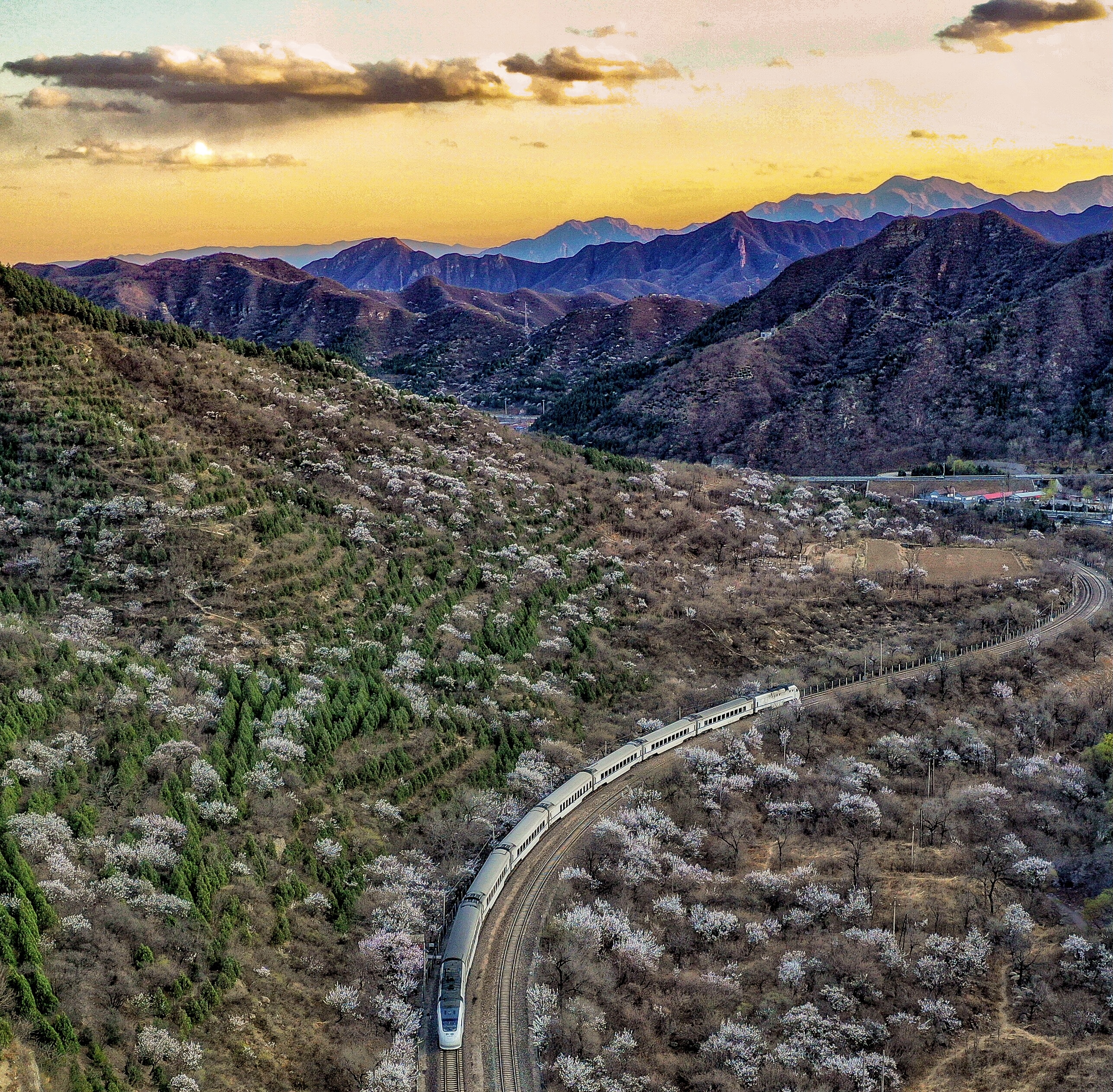 �����ںϷ�չ